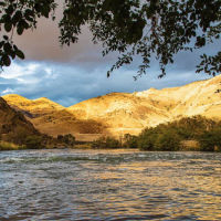 Steelhead Destinations