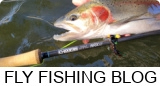 Fly Fishing Blog