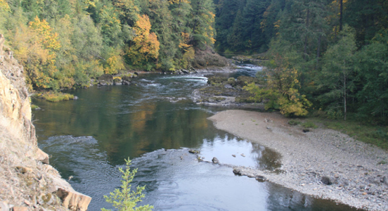 North Umpqua River, Oregon  Steelhead Denstinations