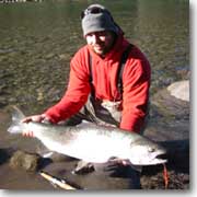 Marty Sheppard Steelhead Guide