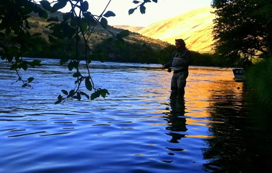 Steelhead Tips