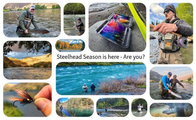 Northwest Steelhead mixed banner
