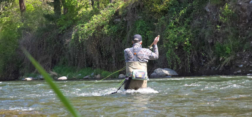 John Spey Casting - Fish Short