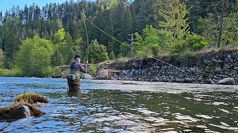 Steelheadbum: Spey Page